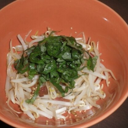 もやしの食感と味付けの酸味がとてもバランスよくて美味しかったです！簡単だし安くできるし・・・超お助けメニューですね♪また作ります～